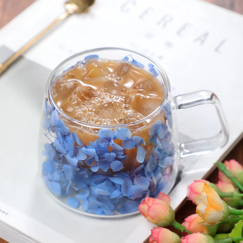 Elegant Double Wall Glass Cup  - đánh giá và giá Double Wall Mug